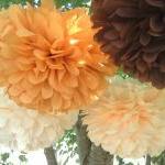 Set of 10 tissue paper poms