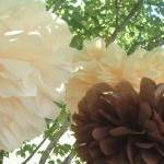 Set of 10 tissue paper poms