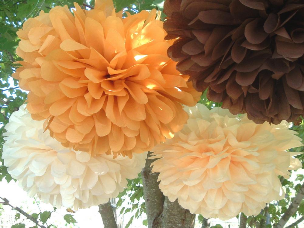 Set of 10 tissue paper poms