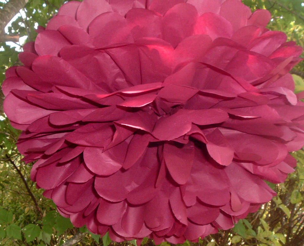 6 Birthday Party decorations. Tissue paper Pom Poms
