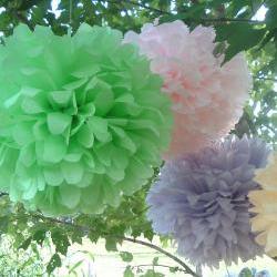 Party decorations. tissue paper pom poms