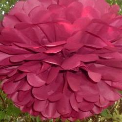 6 Birthday Party decorations. Tissue paper Pom Poms